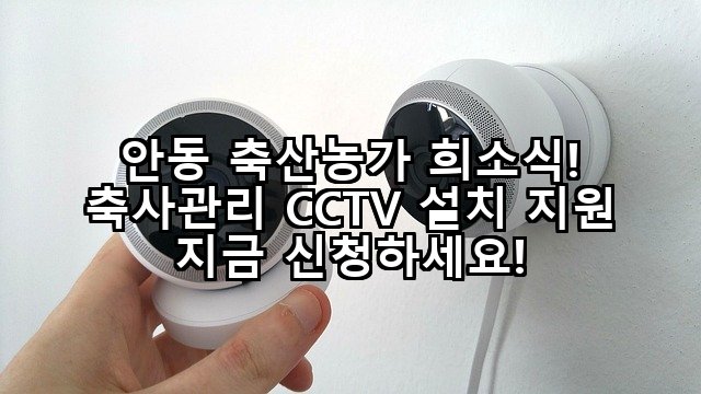 안동 축산농가 희소식! 축사관리 CCTV 설치 지원 지금 신청하세요!